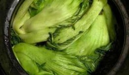 老谭酸菜爆料视频大全,揭秘行业黑幕与真相