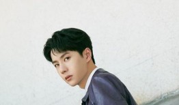 洪金宝儿子爆料视频,独家视频曝光幕后故事